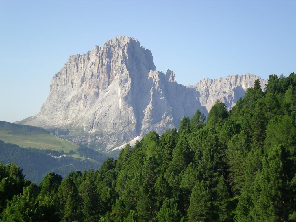 Отель Garni Mezdi Santa Cristina Val Gardena Экстерьер фото